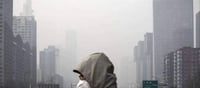 Most Effective, Seven International Locations Met WHO Air Quality Standards In 2024, Data Shows.